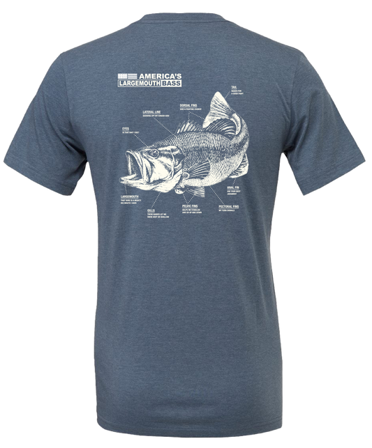 America’s Largemouth Bass