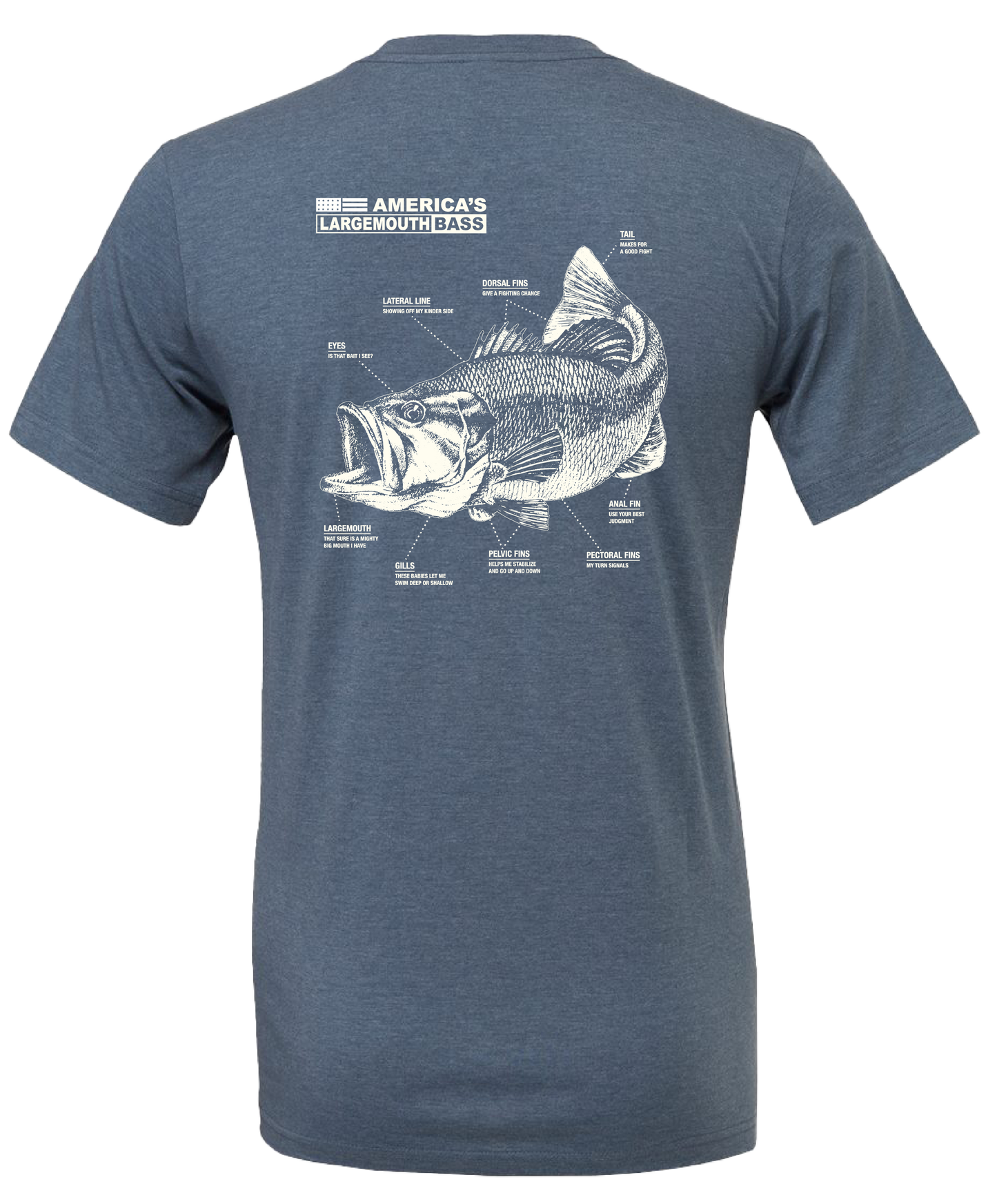 "Largemouth Bass"
