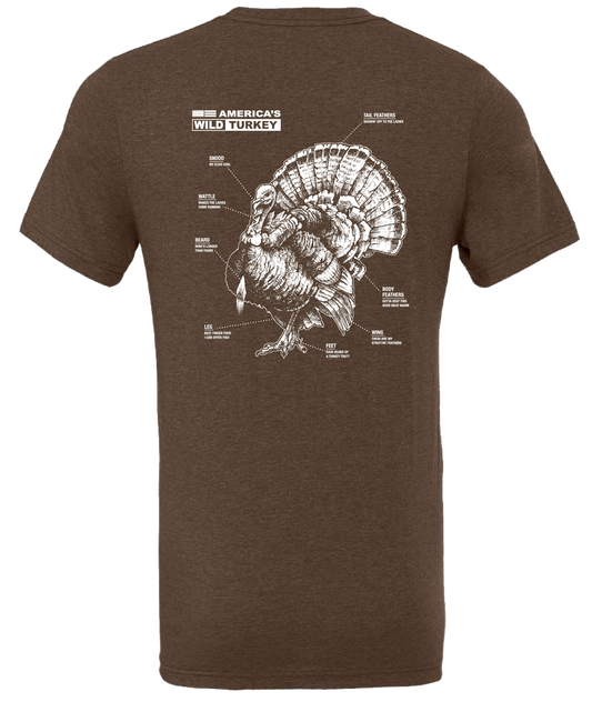 America’s Wild Turkey